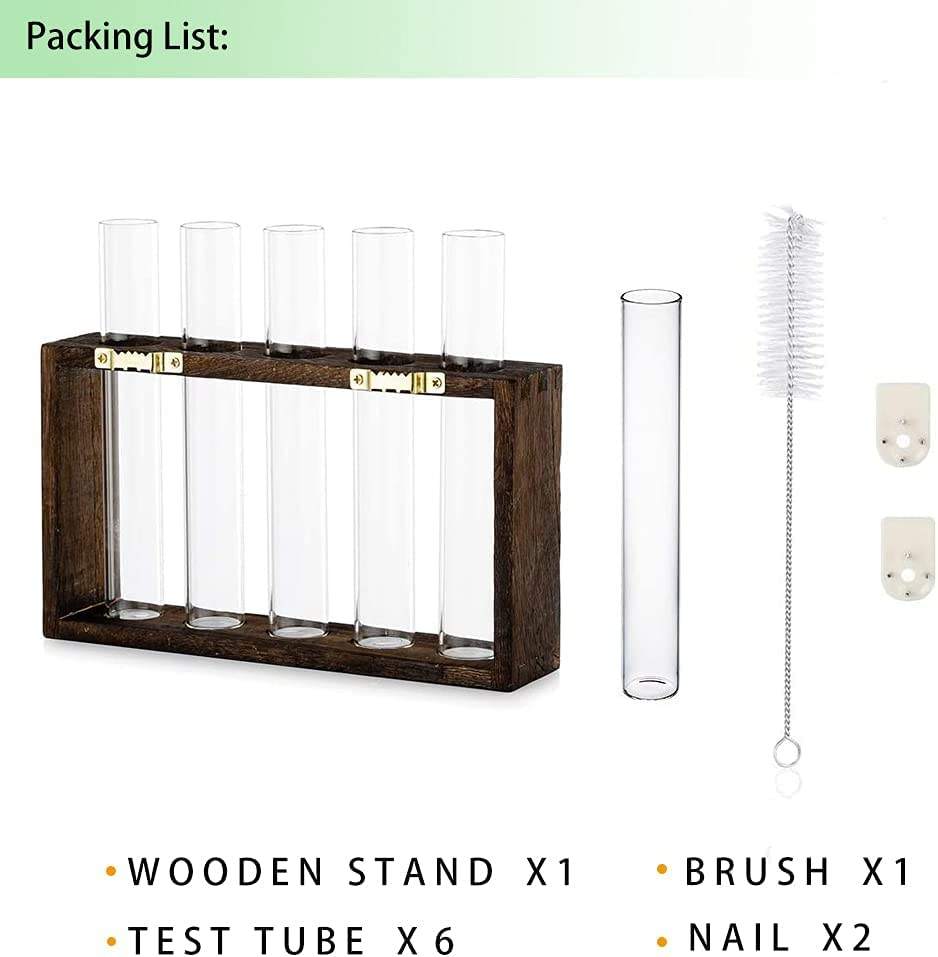Wall Mounted Hanging Plants Terrariumin Test Tube Flower Bud Tabletop Glass Wooden Stand