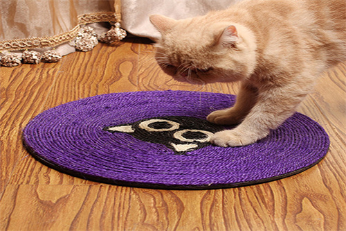 How to Teach Your Cat Learning to Use a Cat Scratching Pad?