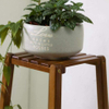 Bamboo Tall Plant Stand Pot Holder Small Space Flower Shelf Rack Display Table (2-Tier)