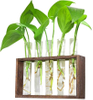 Wall Mounted Hanging Plants Terrariumin Test Tube Flower Bud Tabletop Glass Wooden Stand