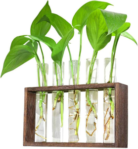 Wall Mounted Hanging Plants Terrariumin Test Tube Flower Bud Tabletop Glass Wooden Stand