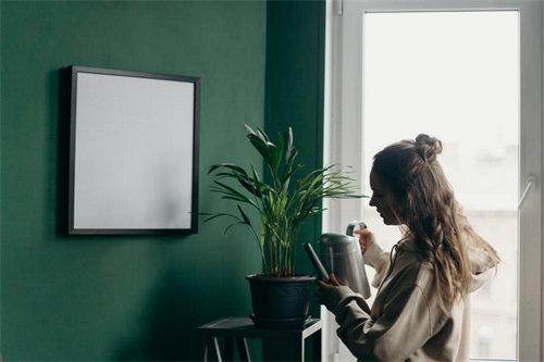 Why Is Frame Customization so Important?