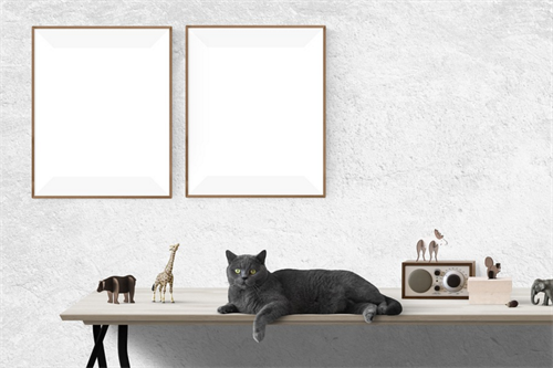 Should Photo Frames Be Regarded as an Art Form?