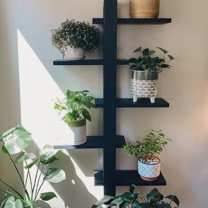 Decorative Floating Shelves, Floating Plant Shelf/Shelves, Tiered Floating Shelf, Walnut Floating Shelf