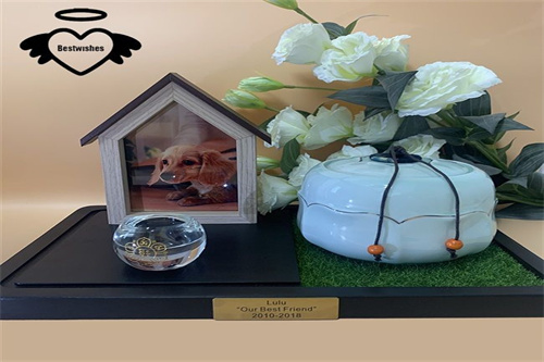 How Many Kinds of Pet Cremation Urns Are There?