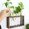 Wall Mounted Hanging Plants Terrariumin Test Tube Flower Bud Tabletop Glass Wooden Stand