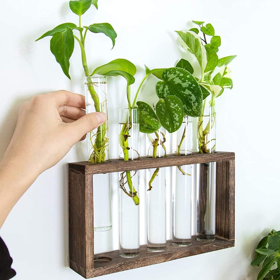 Wall Mounted Hanging Plants Terrariumin Test Tube Flower Bud Tabletop Glass Wooden Stand