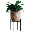 AUBURY Plant Stands for Indoor & Outdoor Pots Non-Slip Rubber Feet to Protect Hard Floors