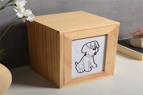 How to Choose the Right Urn for Pet Ashes?